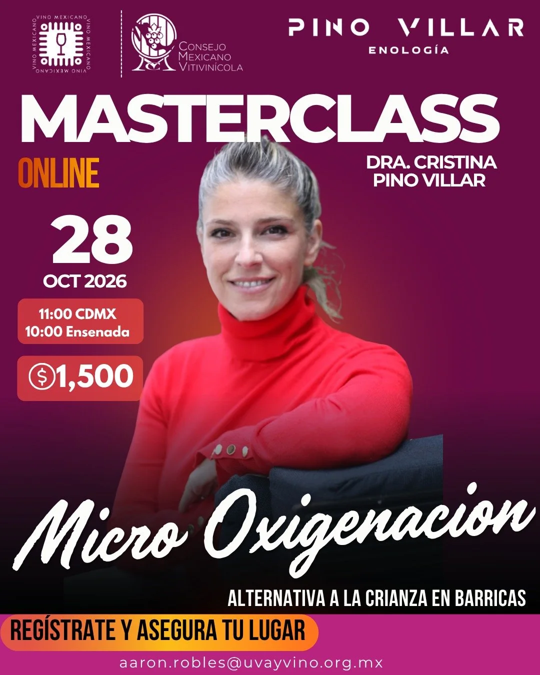 Micro-oxigenación: Alternativa a la Crianza en Barricas