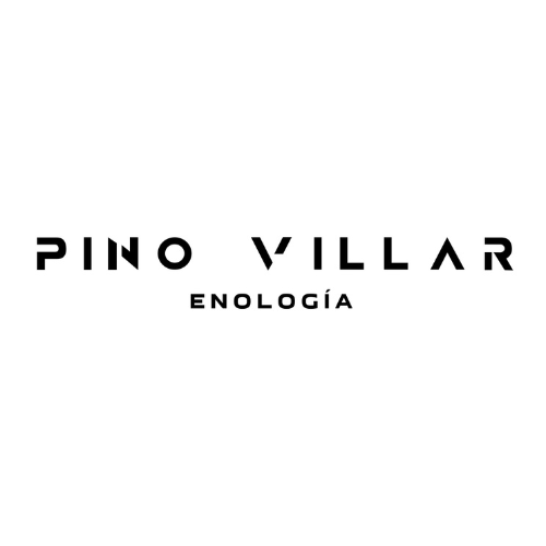 Cristina Pino Villar