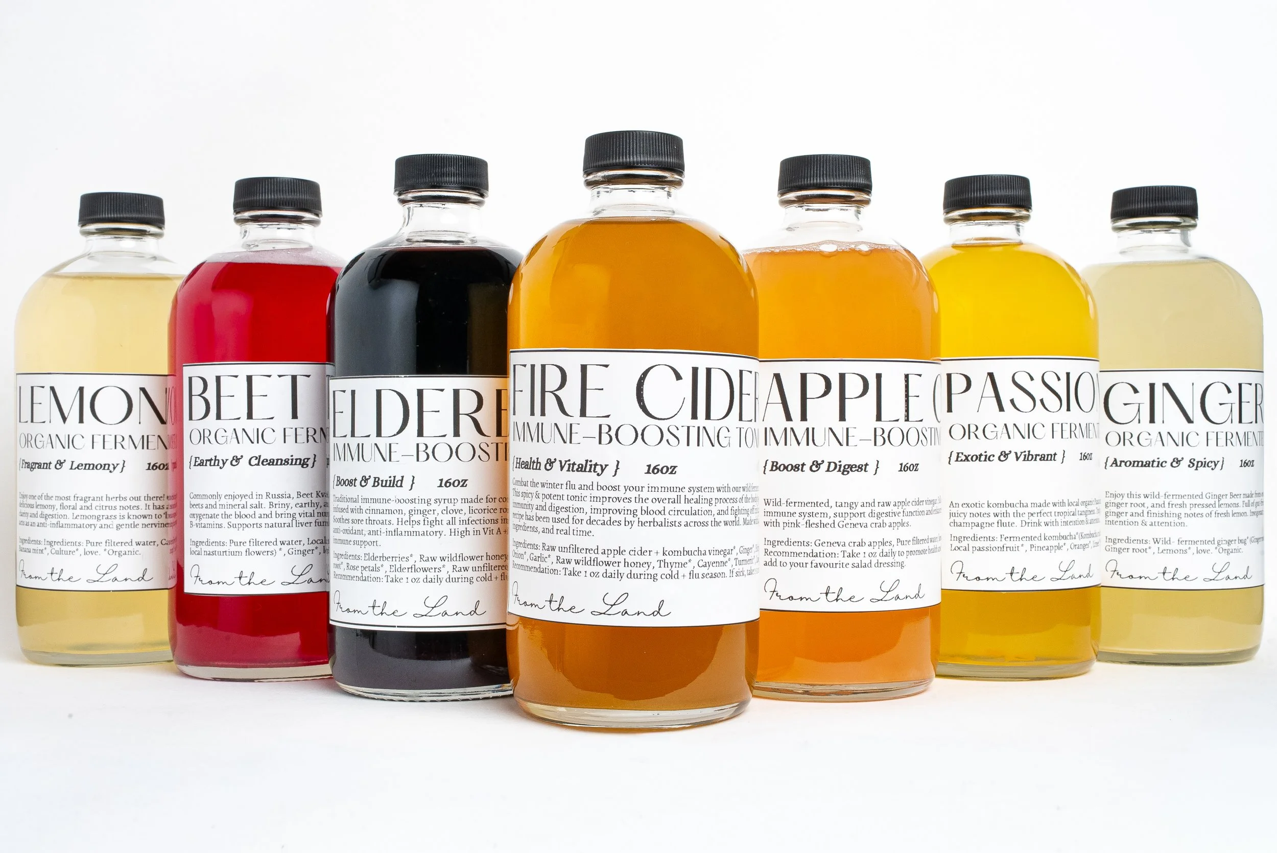 FULL LINE Nov.2025.jpg