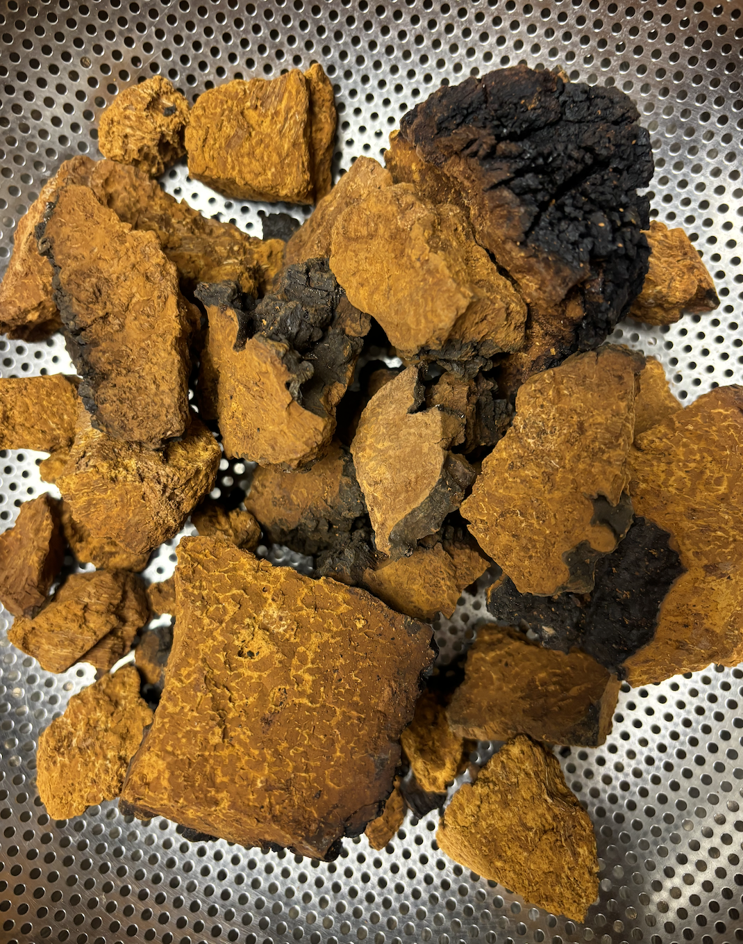 Chaga Maple Syrup.png