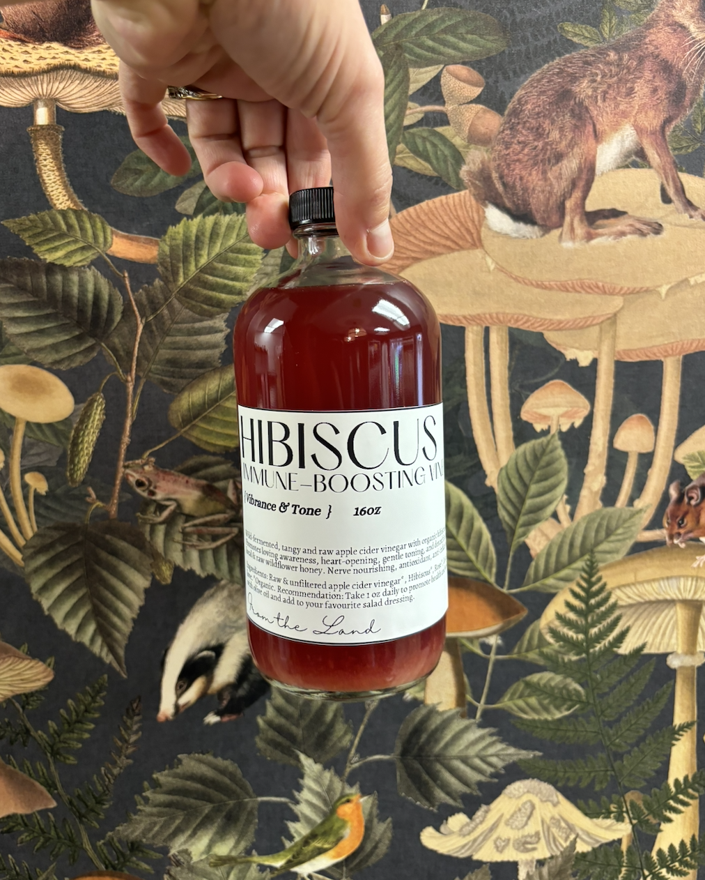 Hibiscus + Rose ACV.png