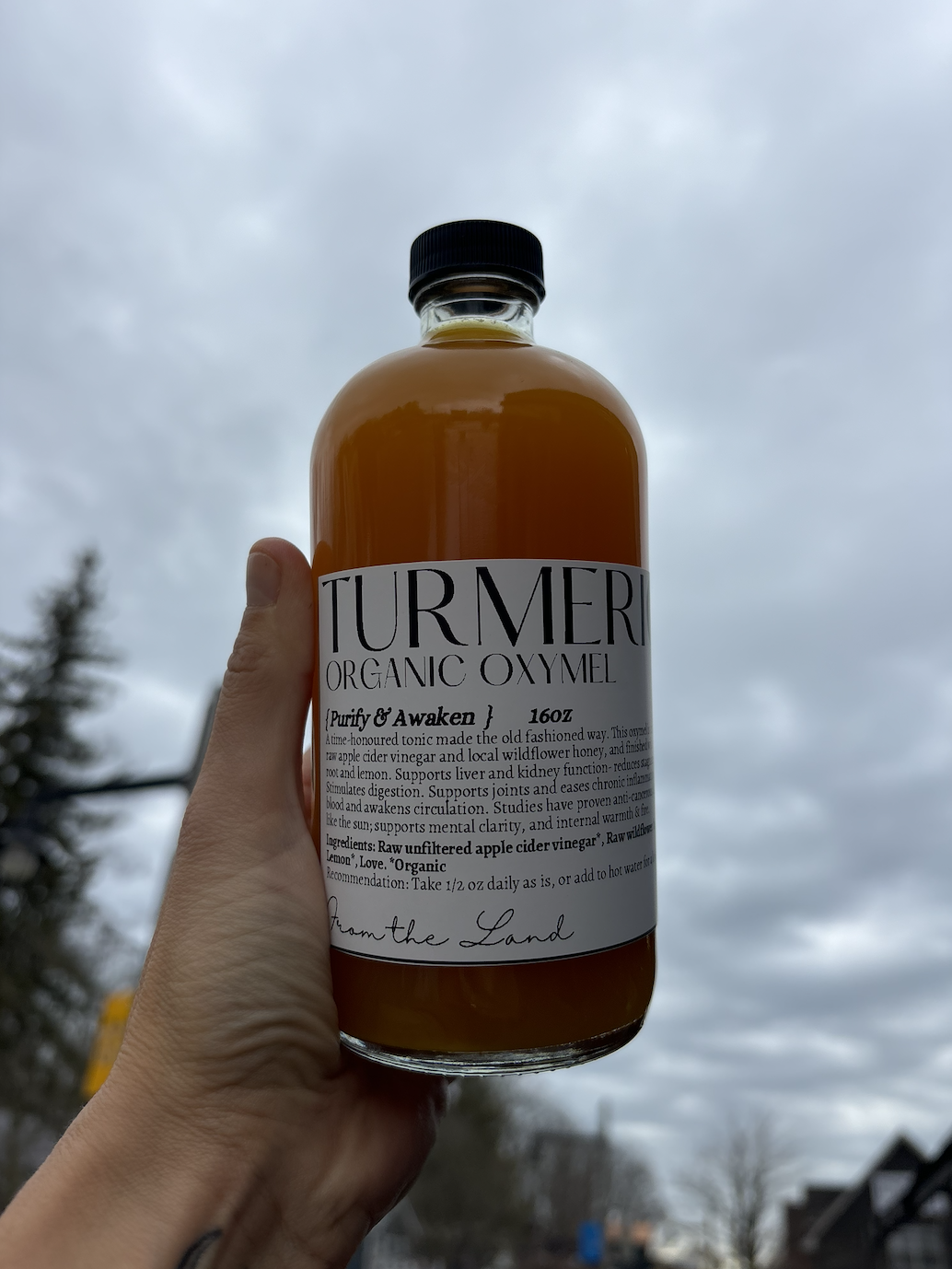 Screenshot 2026-03-22 at 11.34.11 AM.png