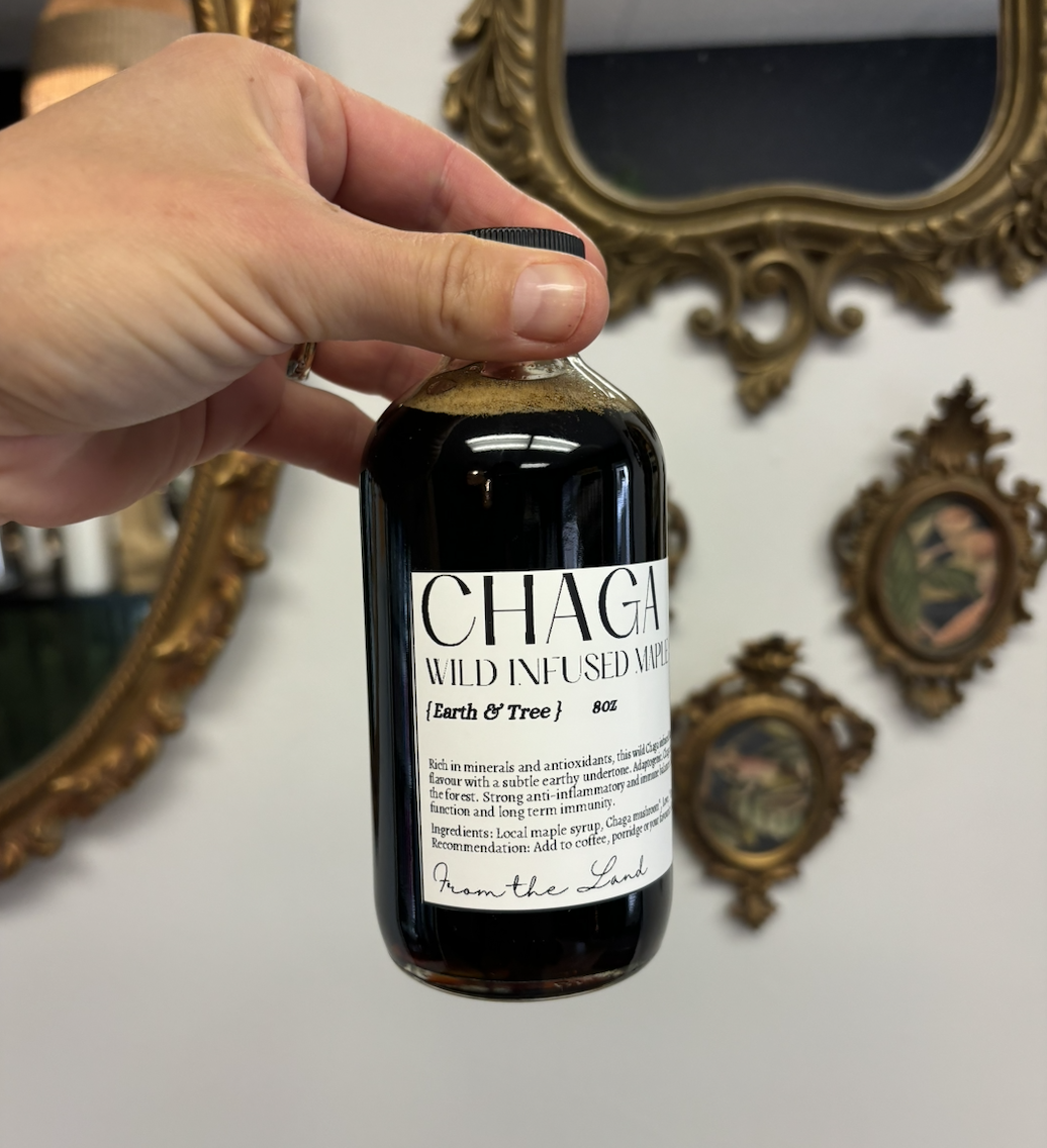 Chaga Maple 2.png