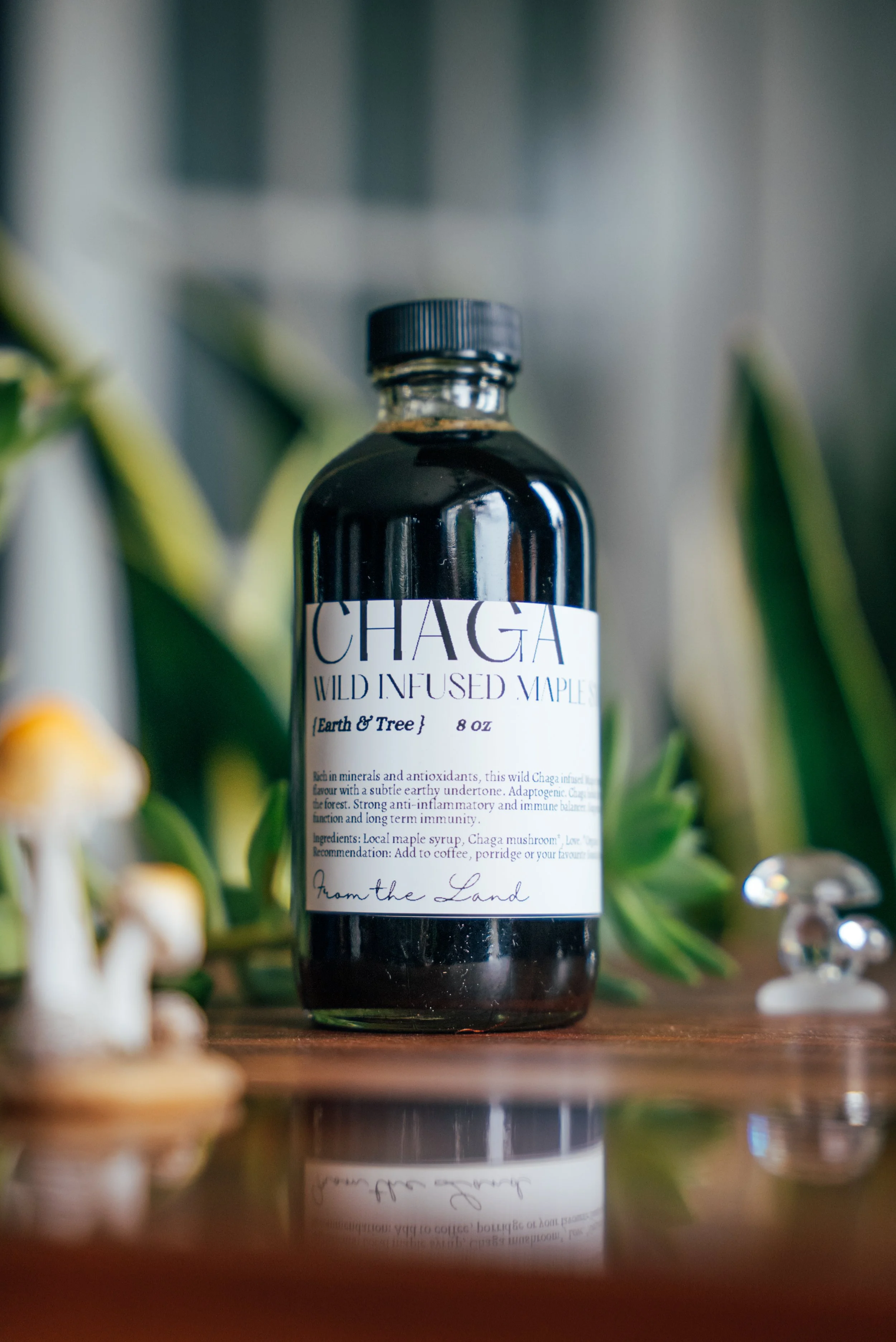 Chaga Maple Syrup