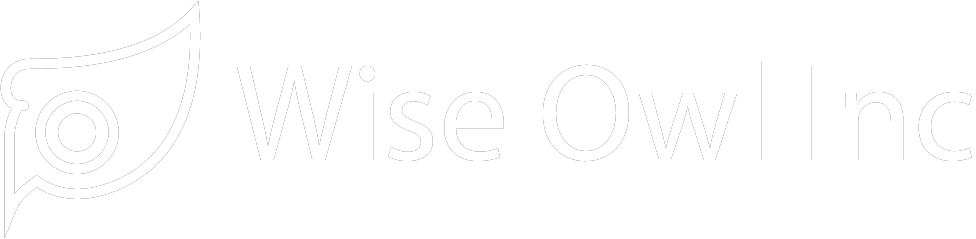 Wise Owl Inc