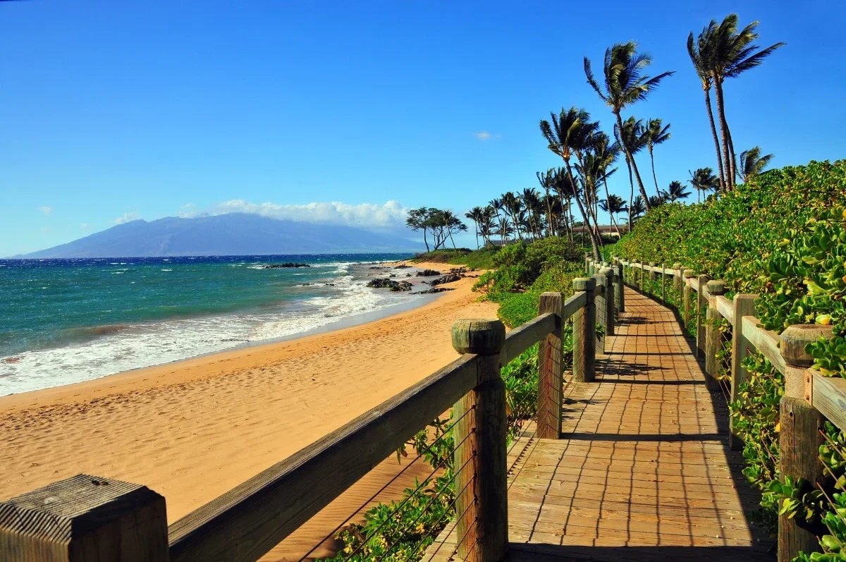 A wooden walkway along a tropical beach with palm trees, green bushes, sandy shore, ocean waves, and distant mountains under a clear blue sky.