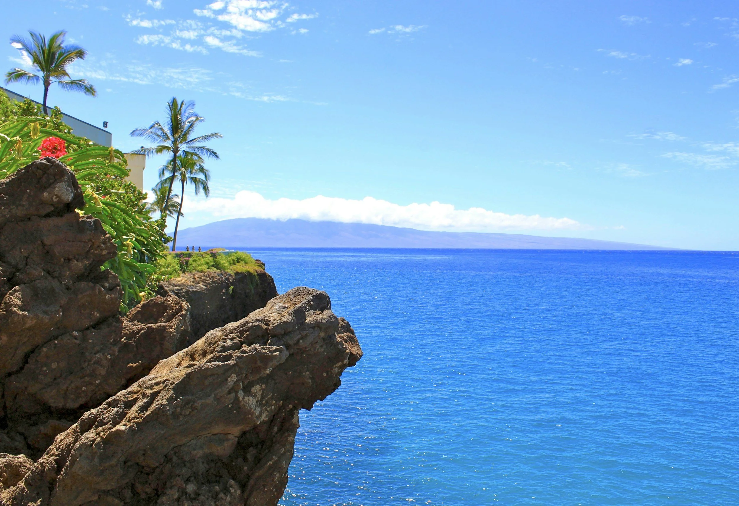 Coastal scene with rocky shoreline, tropical plants, and palm trees overlooking the ocean with a distant island and mountain in the background under a partly cloudy sky.