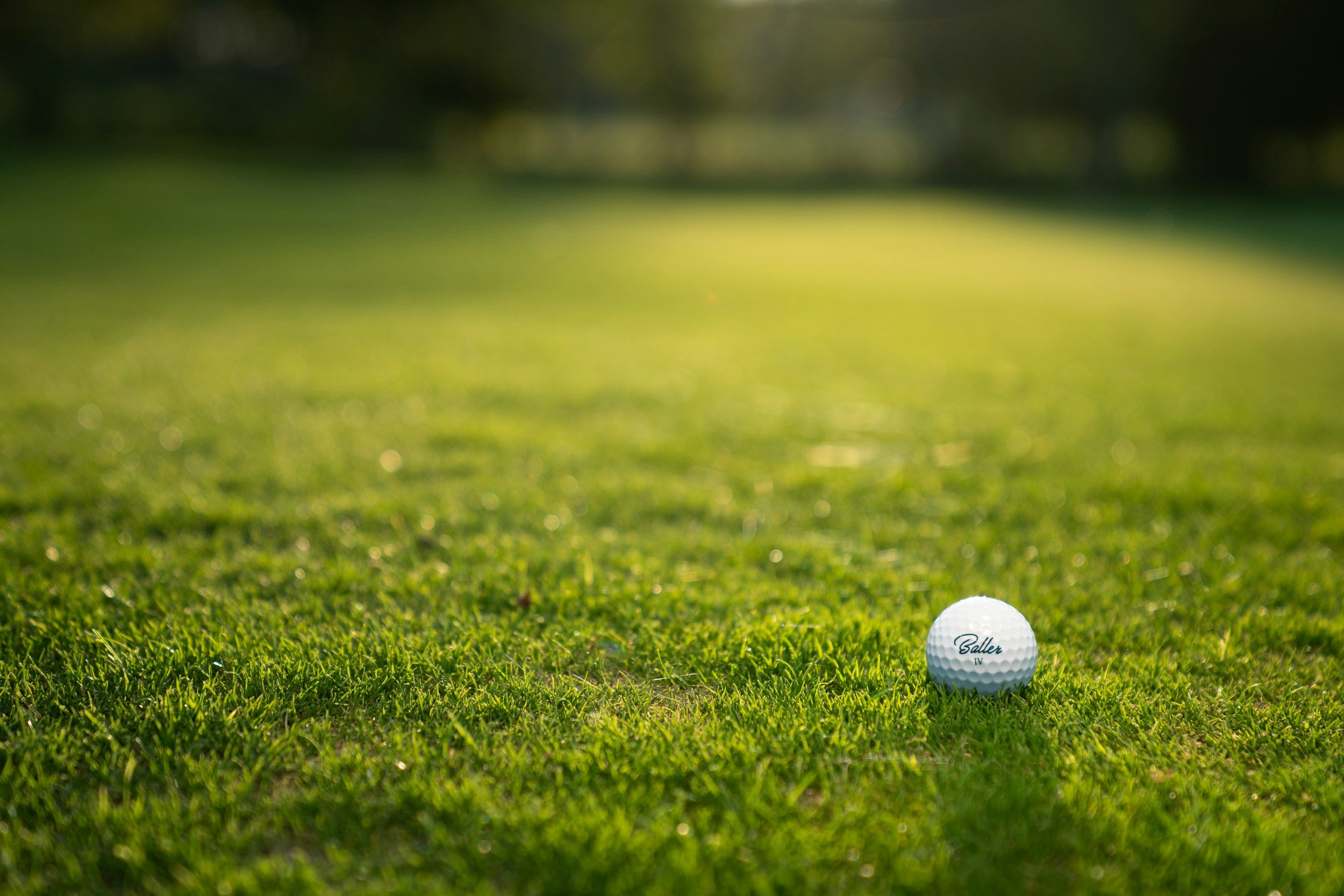 A golf ball on the green grass, with a blurred background in sunlight.