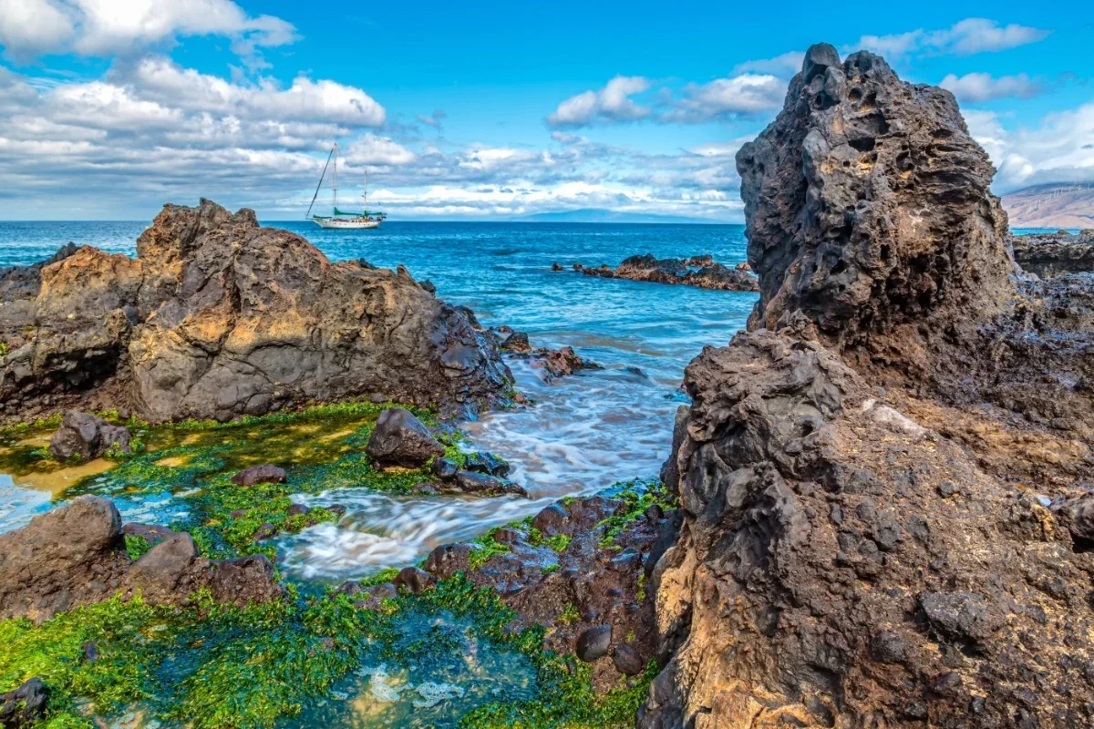 Coastal scene with large volcanic rocks, green seaweed, and a sailboat in the distance on the ocean under a partly cloudy sky.