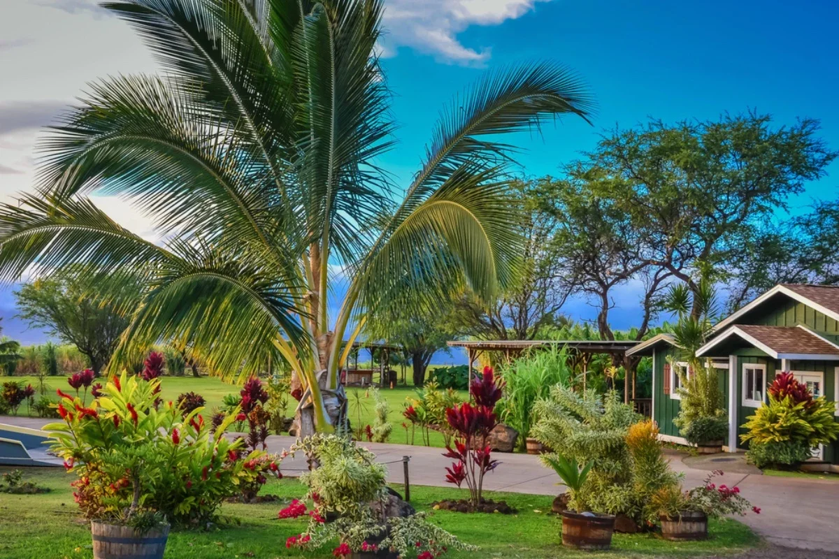 A lush tropical garden with various plants and trees, a sculpture of a palm tree, and a small green house with a brown roof, on a bright sunny day with partly cloudy skies.