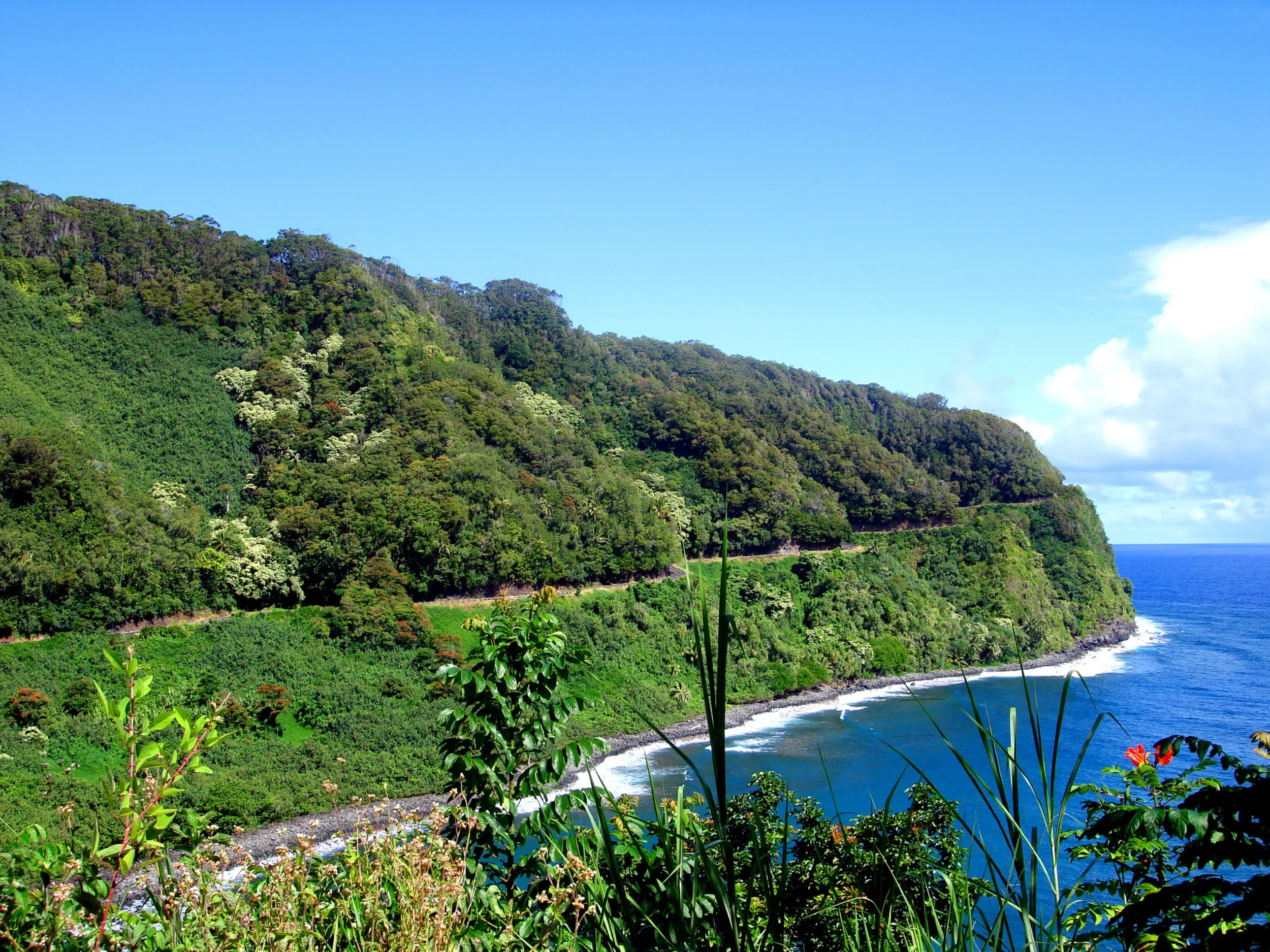 Lush green hillside overlooking the ocean with a winding coastal road and vibrant blue sky.