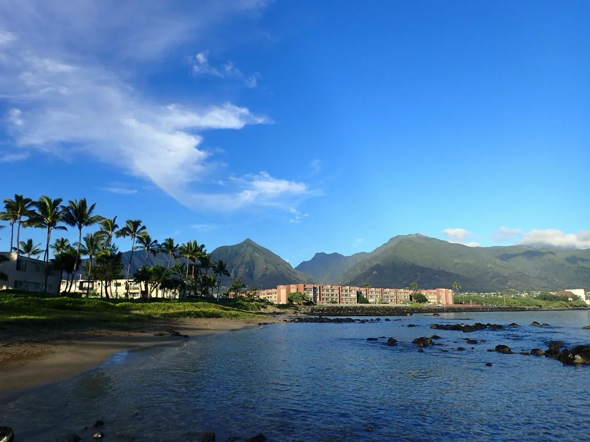 Beach with palm trees, mountains in the background, buildings near the shoreline, blue sky with some clouds