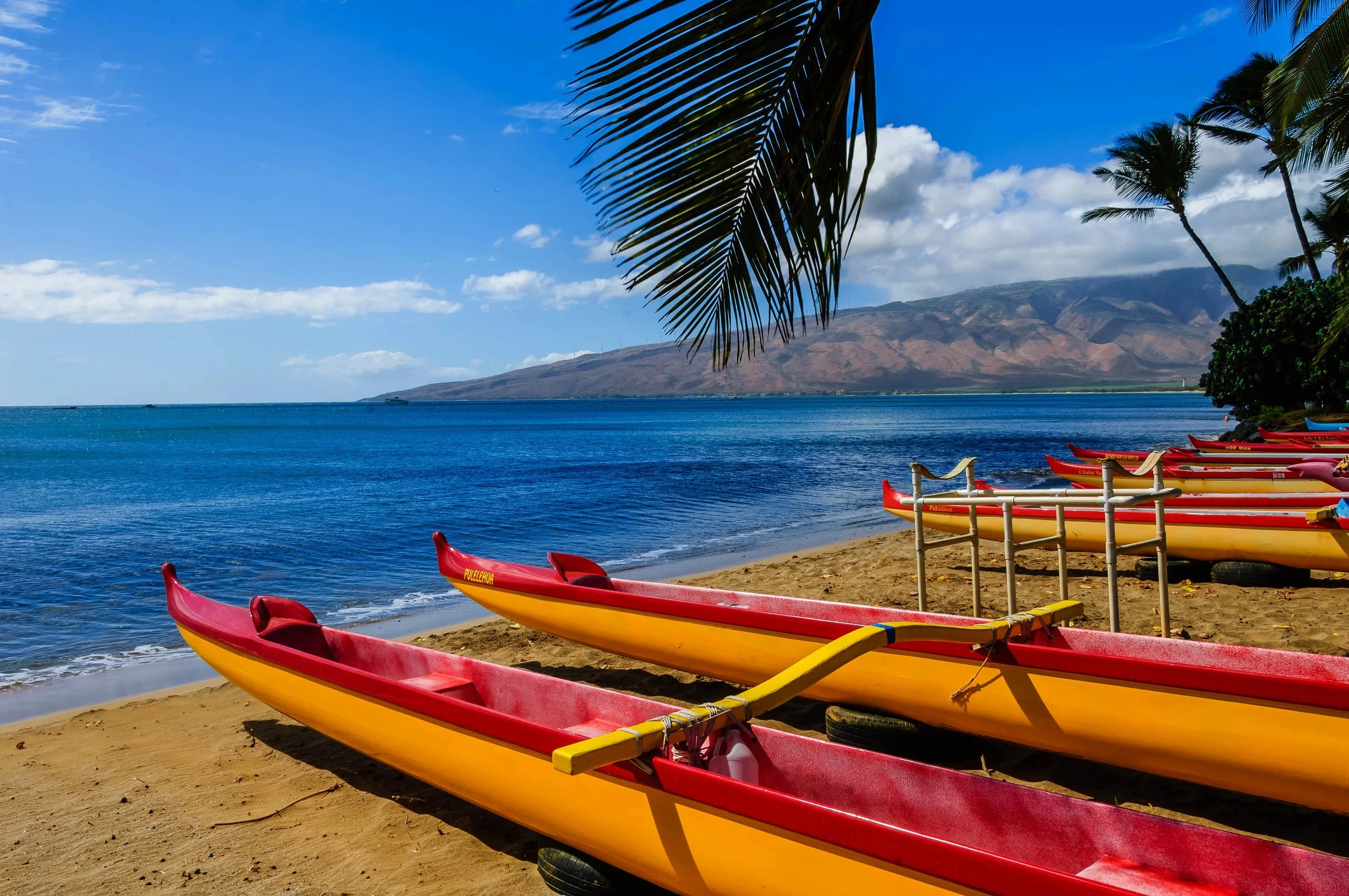 Colorful kayaks on the sandy beach near the ocean with palm trees and mountains in the background.