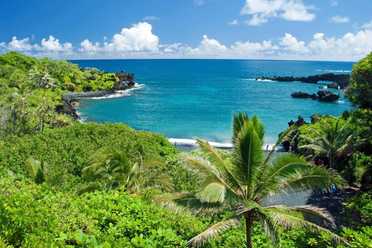 Tropical beach with lush green vegetation, palm trees, rocky coastline, and blue ocean under a partly cloudy sky.