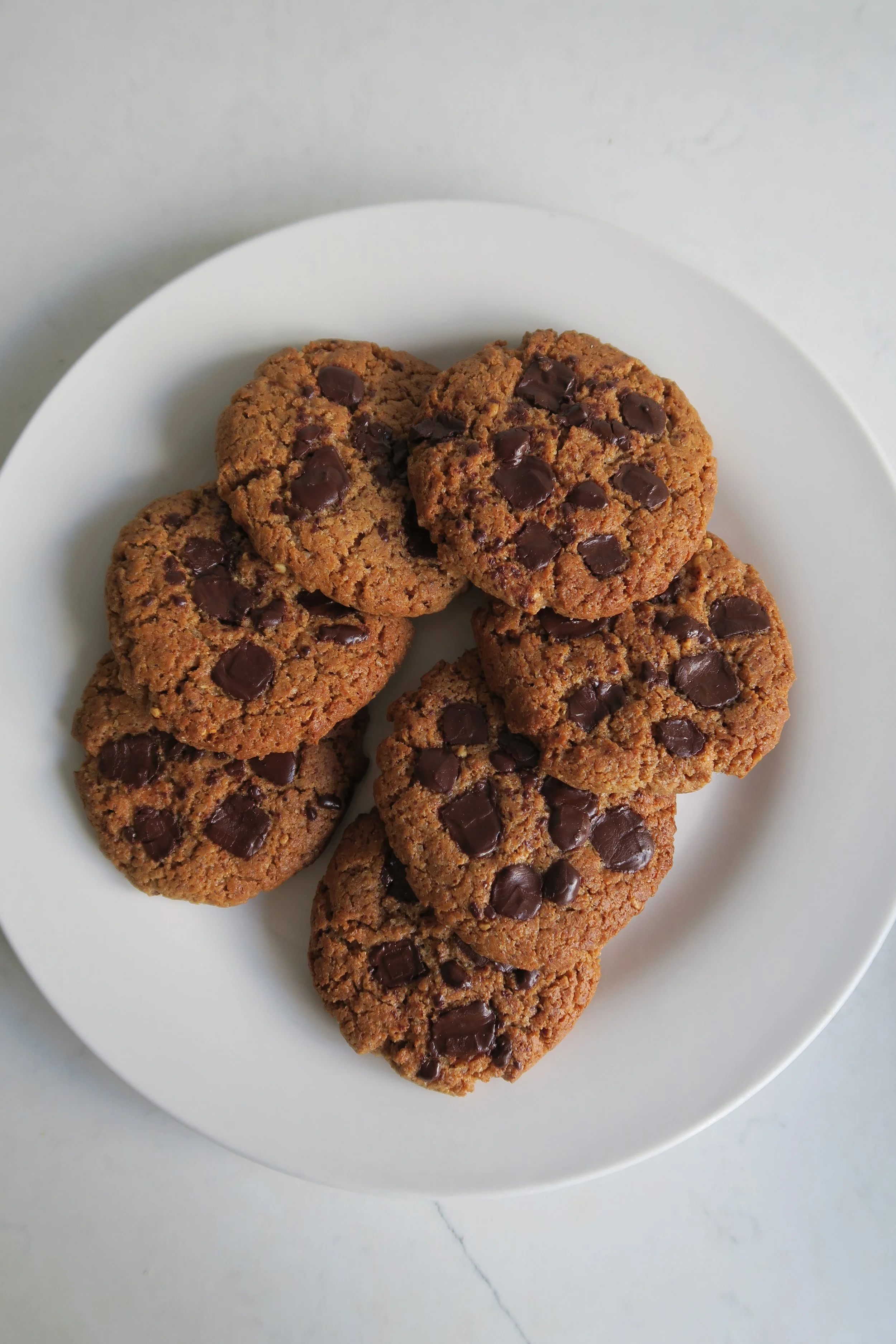 Plate of freshly baked chocolate chip cookies on a white plate.