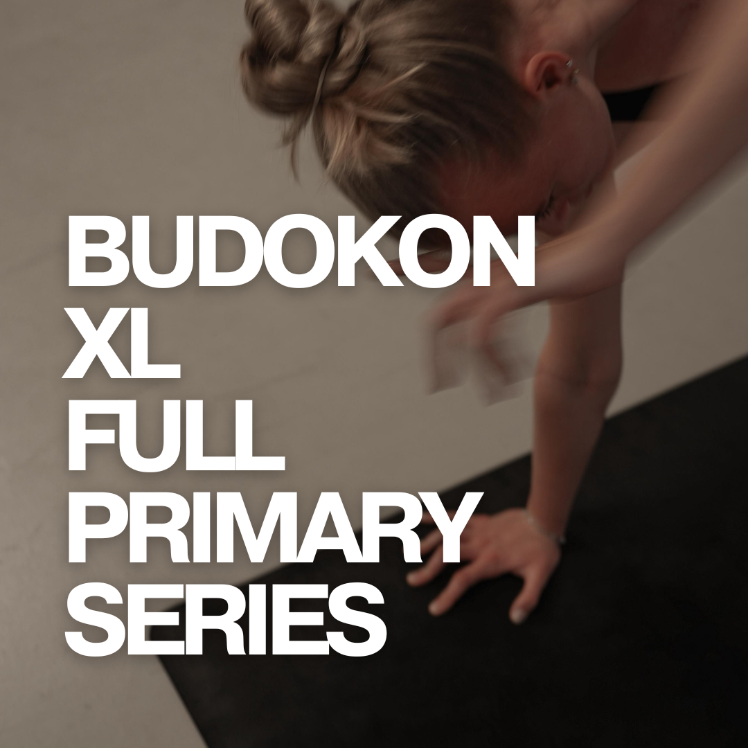 BUDOKON XL - FULL PRIMARY SERIES