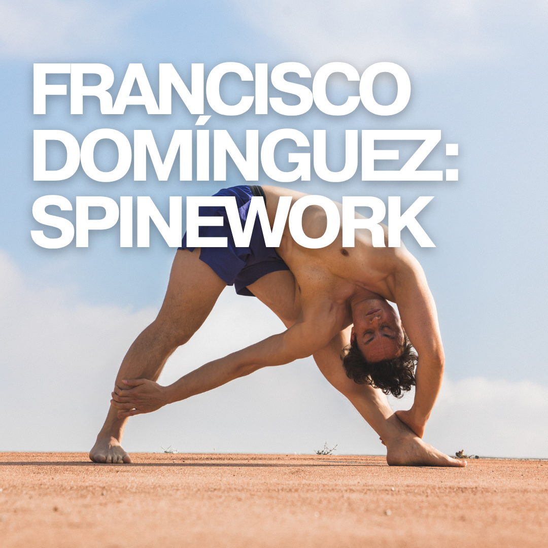 FRANCISCO DOMÍNGUEZ - Spinework (Twists)