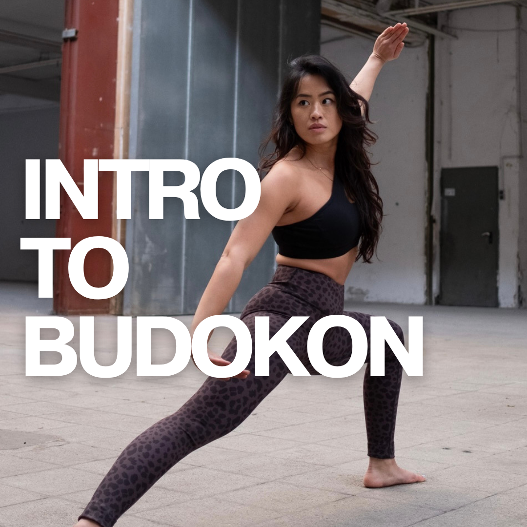 INTRO TO BUDOKON
