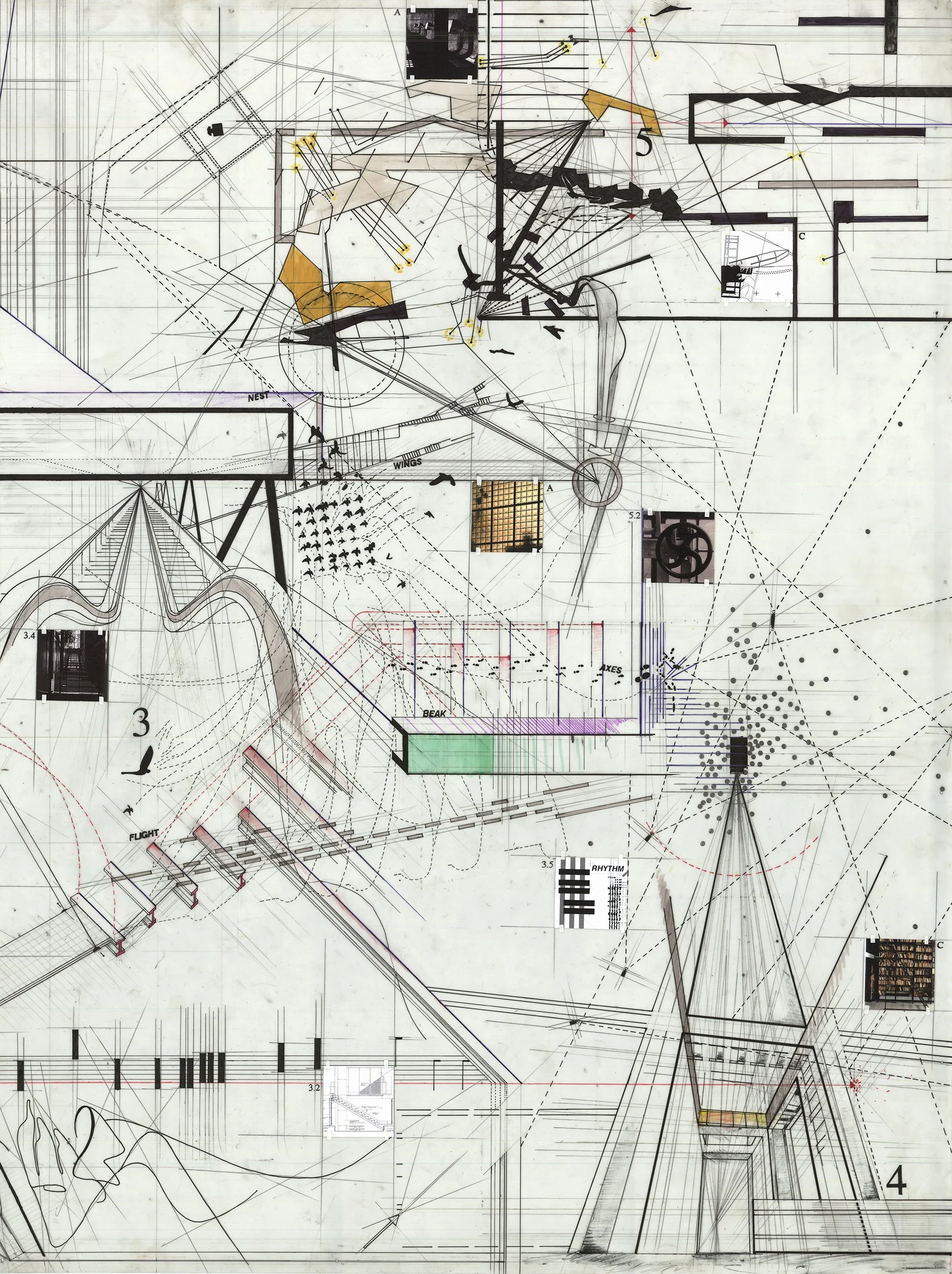META-DWG-C.jpg