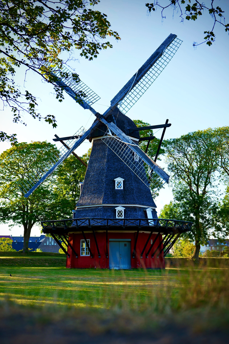 A traditional windmill framed by trees and sunlight