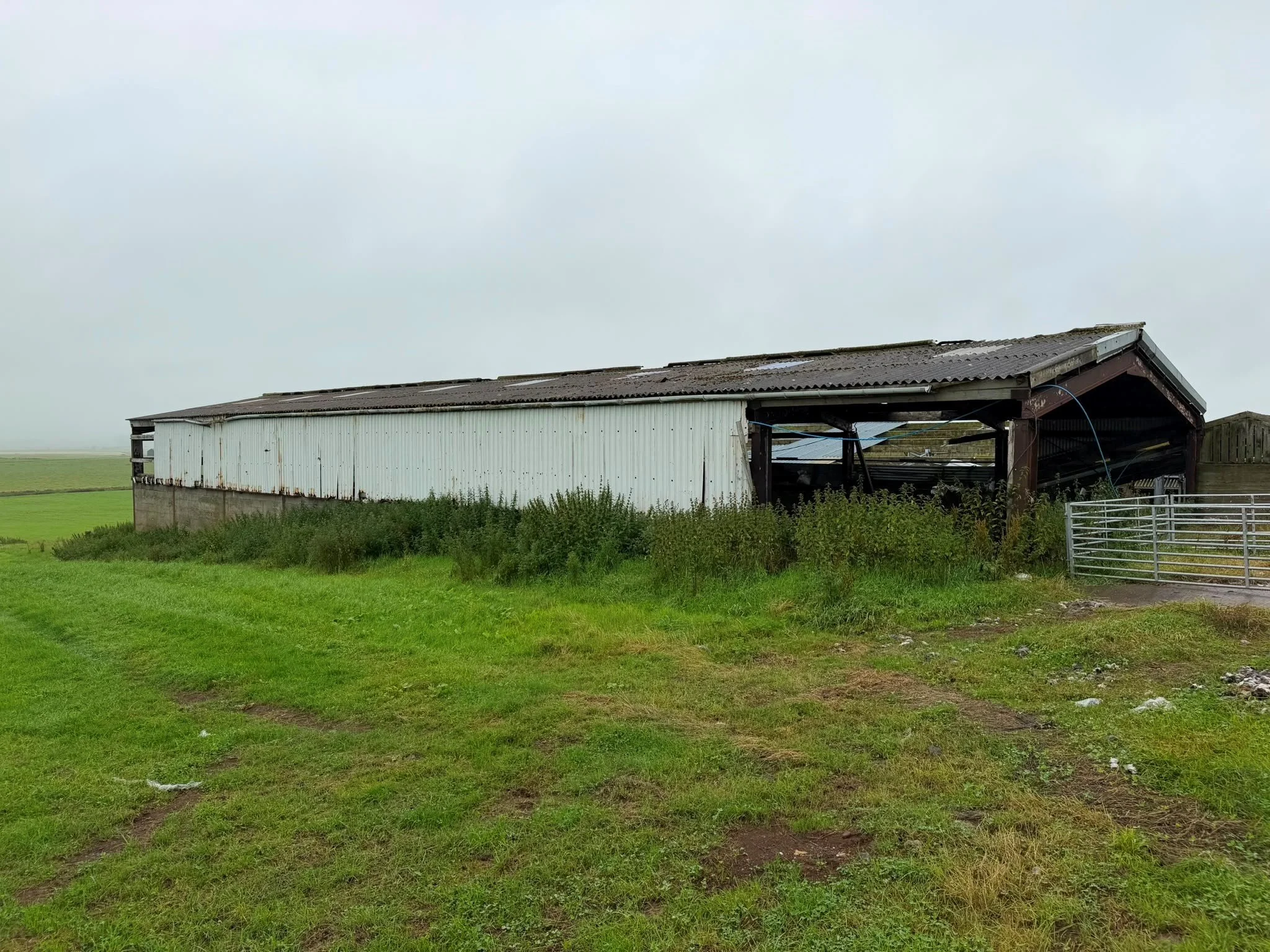 Whiskey roof 8.jpg