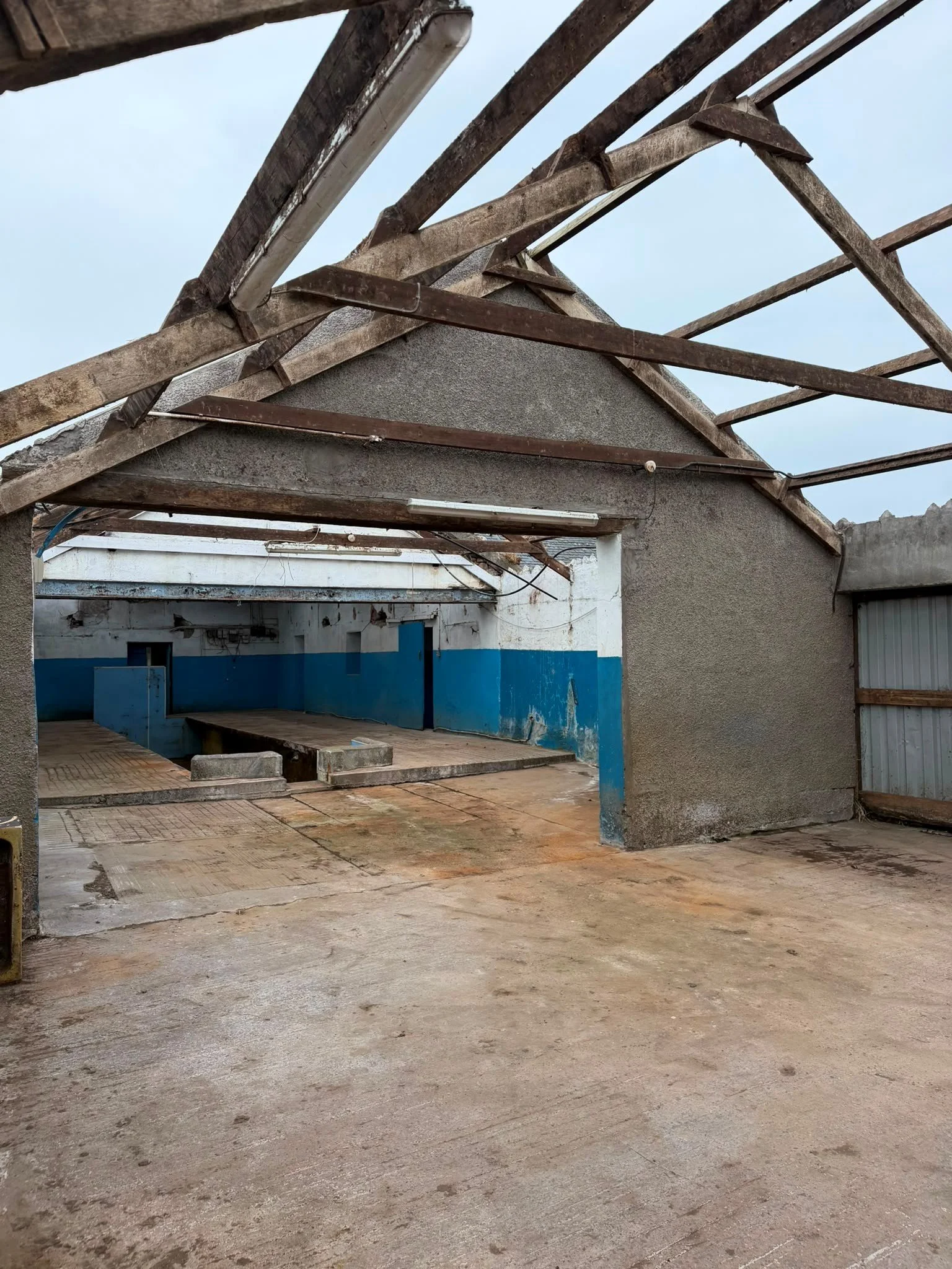 Whiskey roof 6.jpg