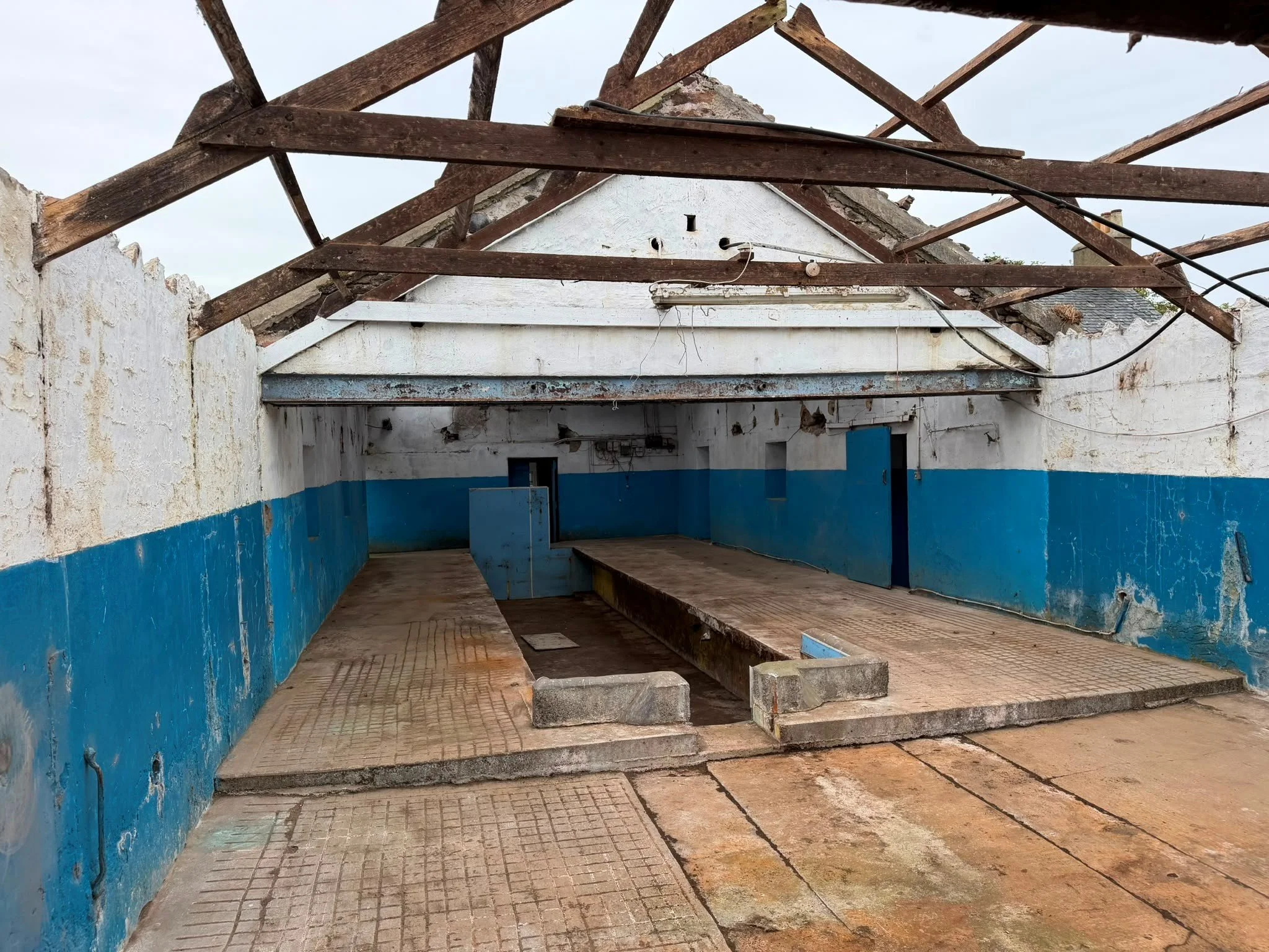 Whiskey roof 5.jpg