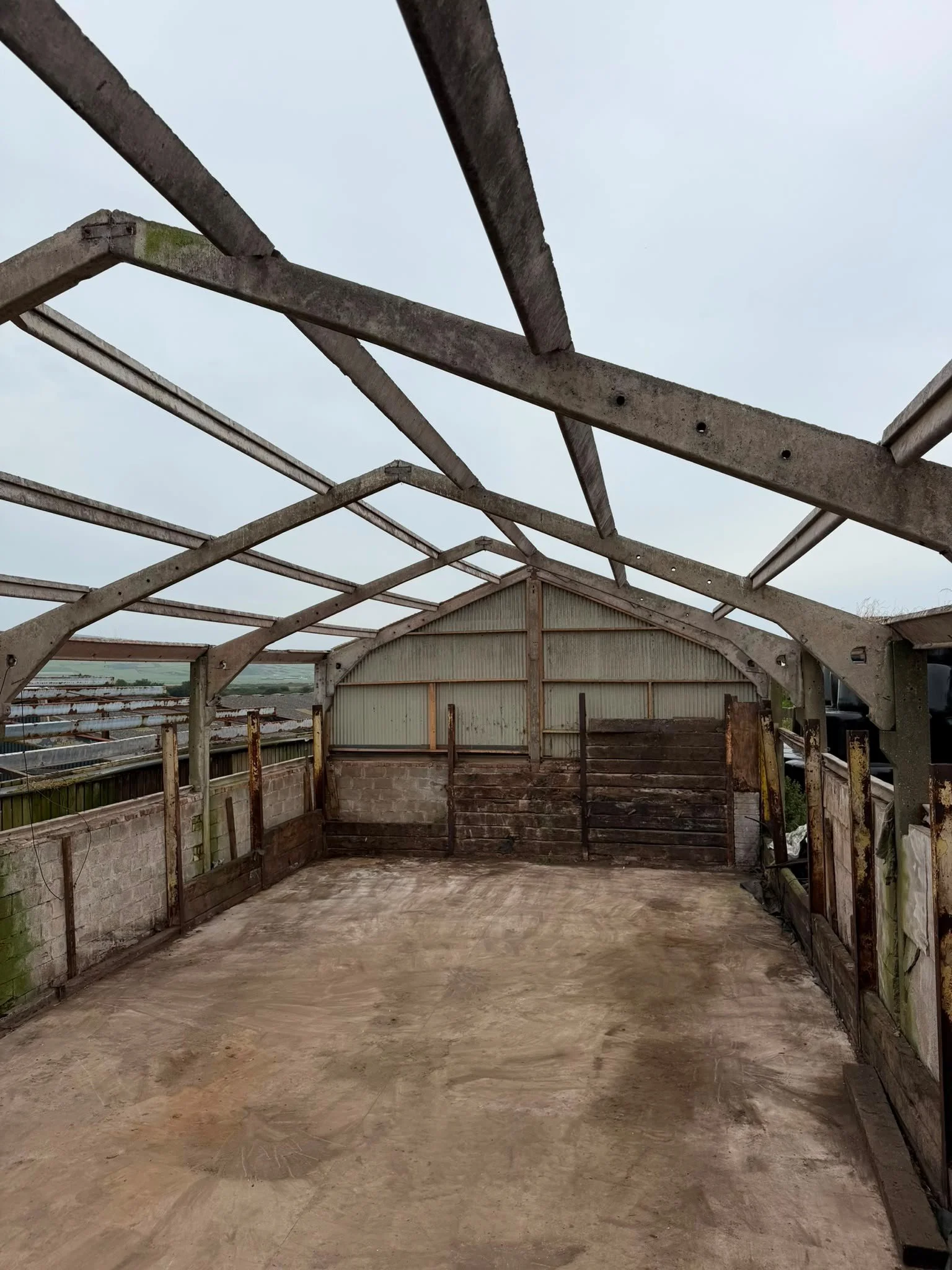 Whiskey roof 2.jpg