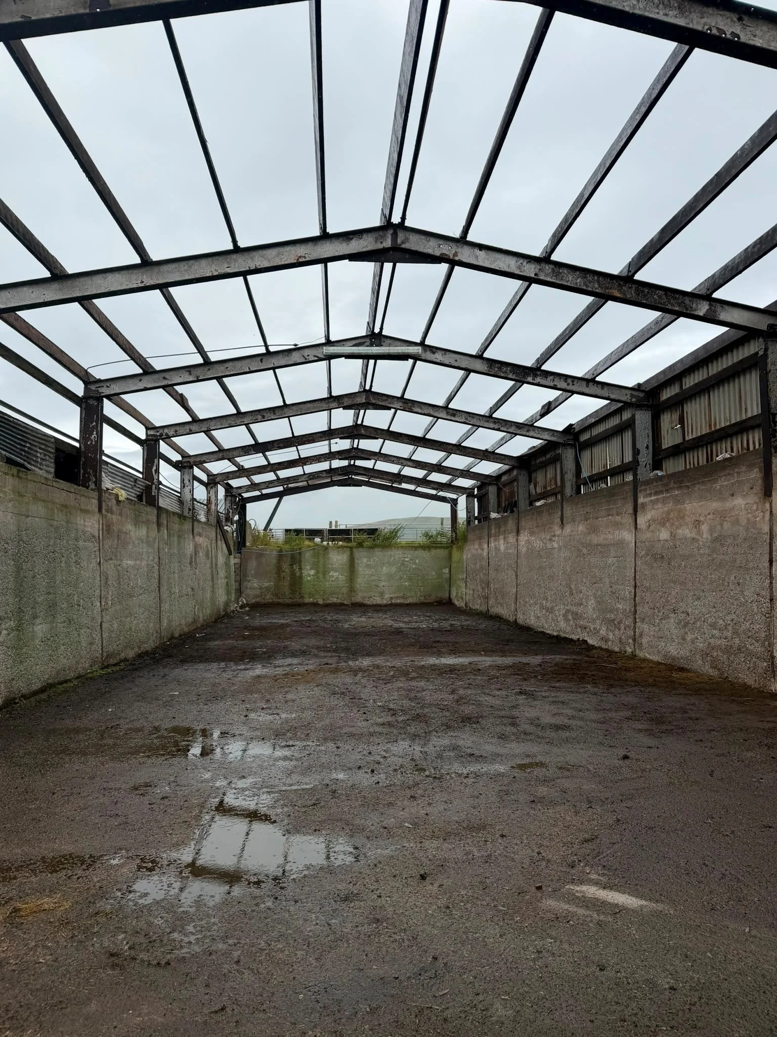 Whiskey roof 1.jpg