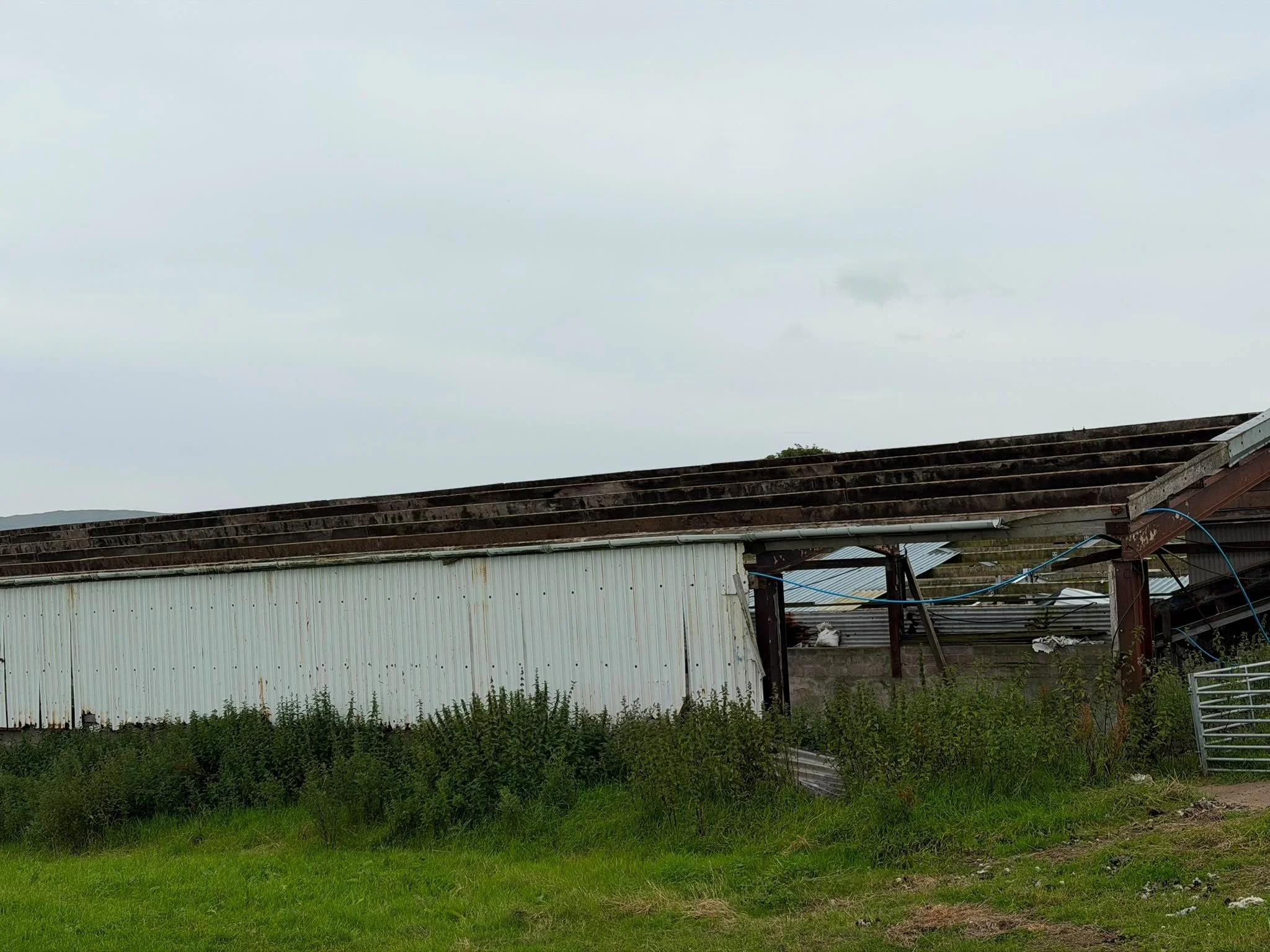 Whiskey roof 4.jpg