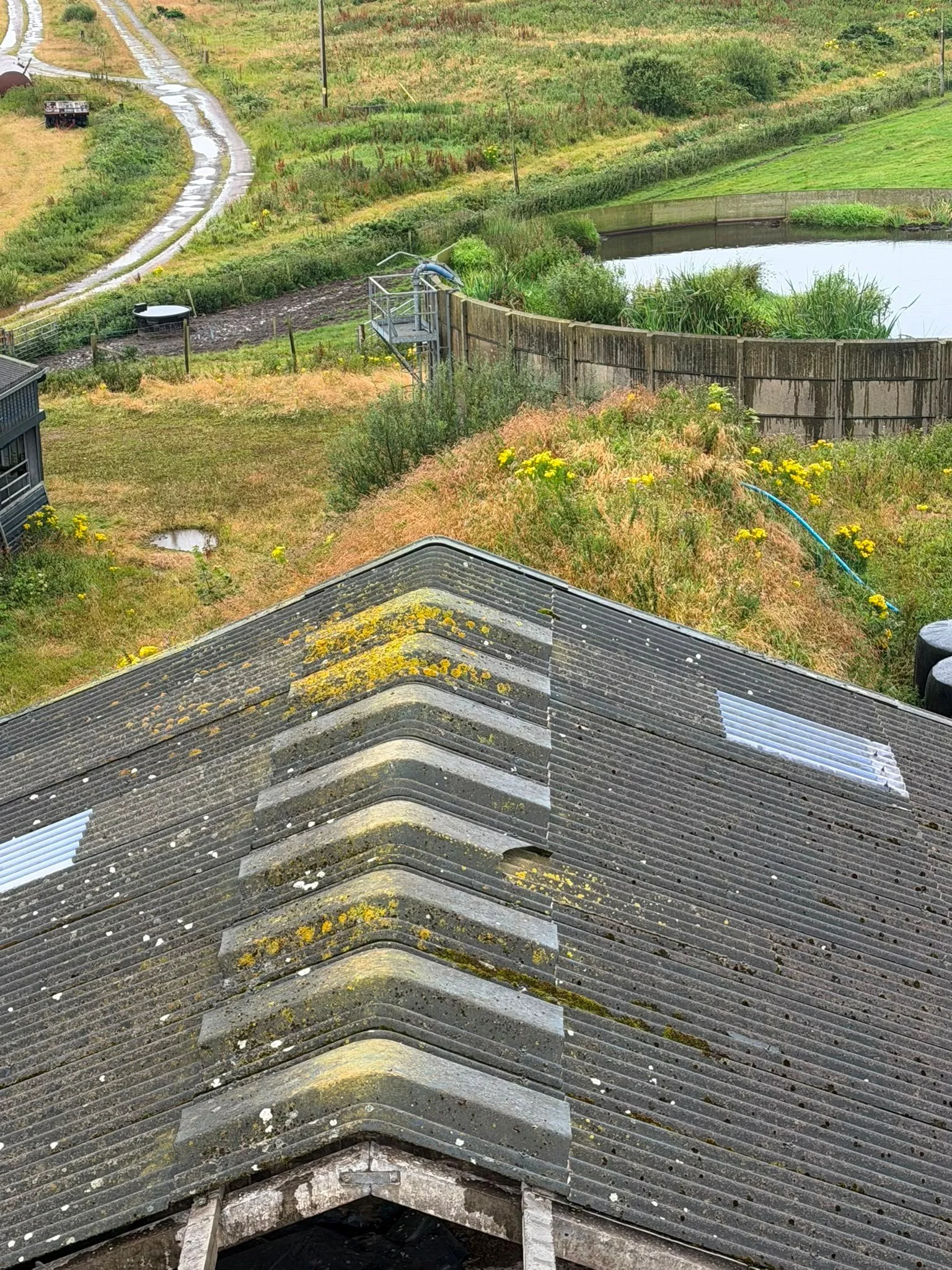 Whiskey roof 10.jpg