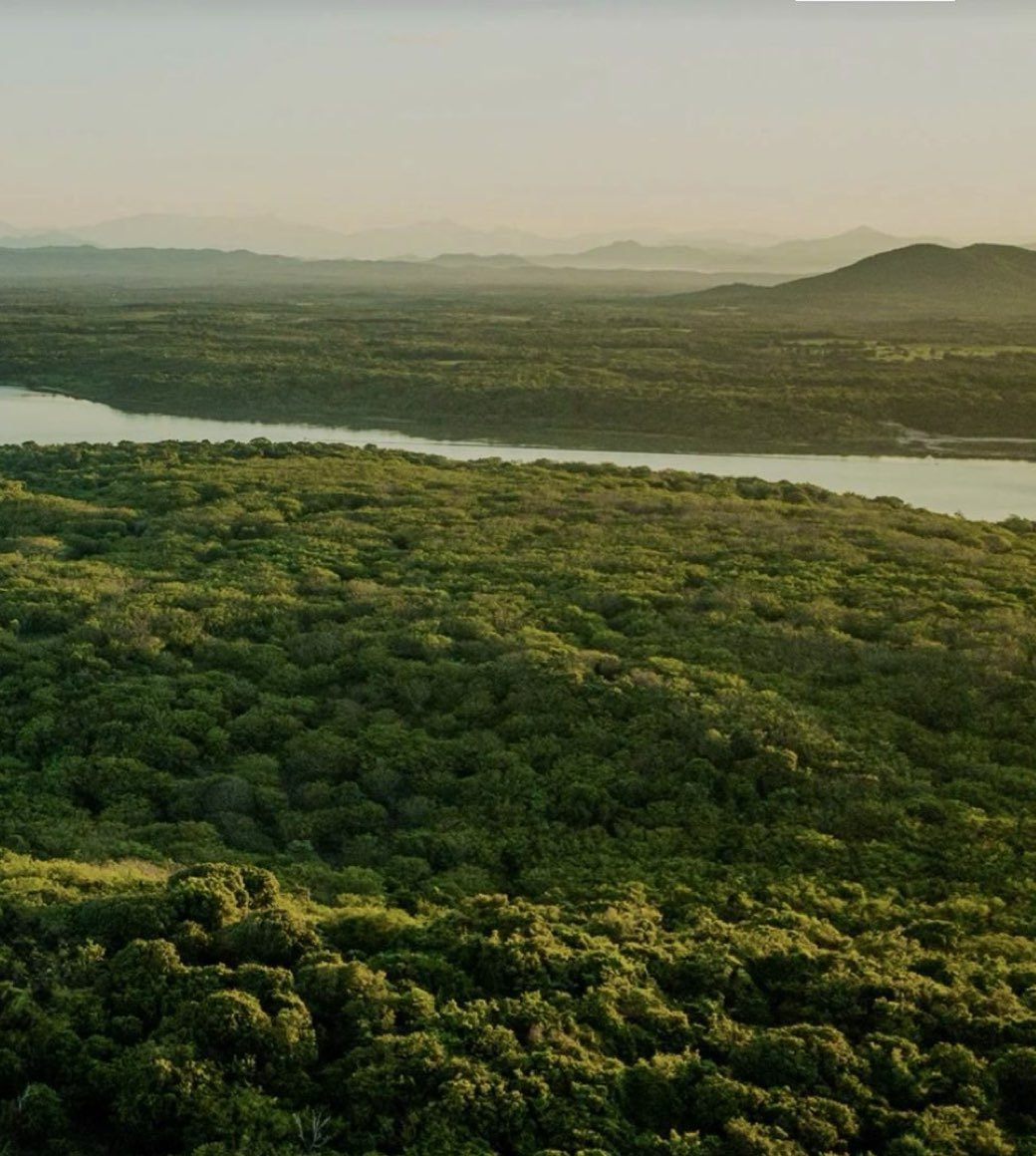 ‎Clientes Aurum Advisory- Xala, Costalegre, Jalisco, México .‎003.jpeg