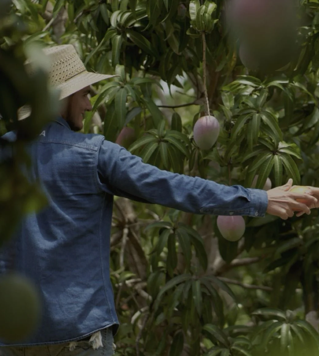 ‎Clientes Aurum Advisory- Xala, Costalegre, Jalisco, México .‎011.jpeg