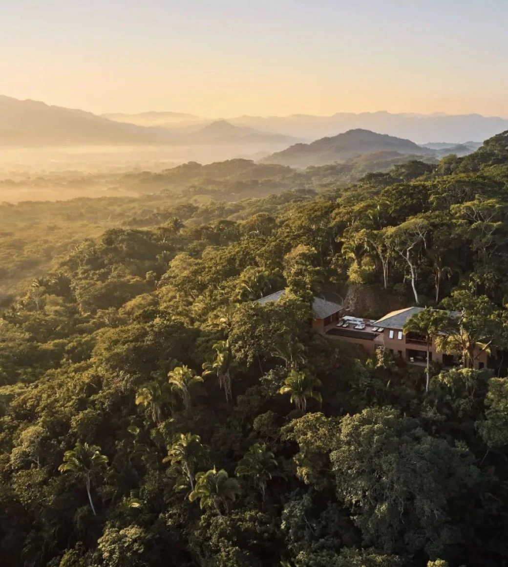 Aerial view of a lush, green forested landscape with hills and mountains in the distance during sunrise or sunset.
