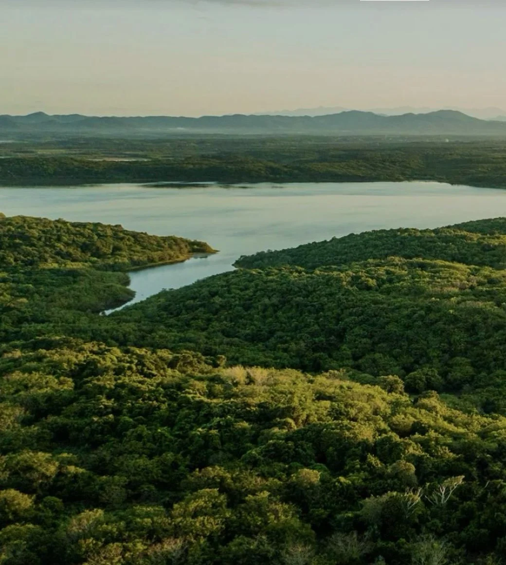 ‎Clientes Aurum Advisory- Xala, Costalegre, Jalisco, México .‎002.jpeg