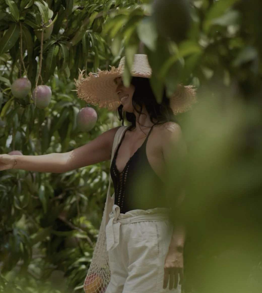 ‎Clientes Aurum Advisory- Xala, Costalegre, Jalisco, México .‎012.jpeg