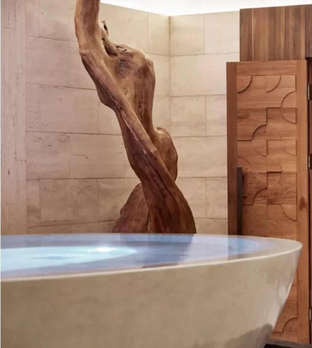 ‎Clientes Aurum Advisory- Rosewood Villa Magna, Madrid, España .‎014.jpeg