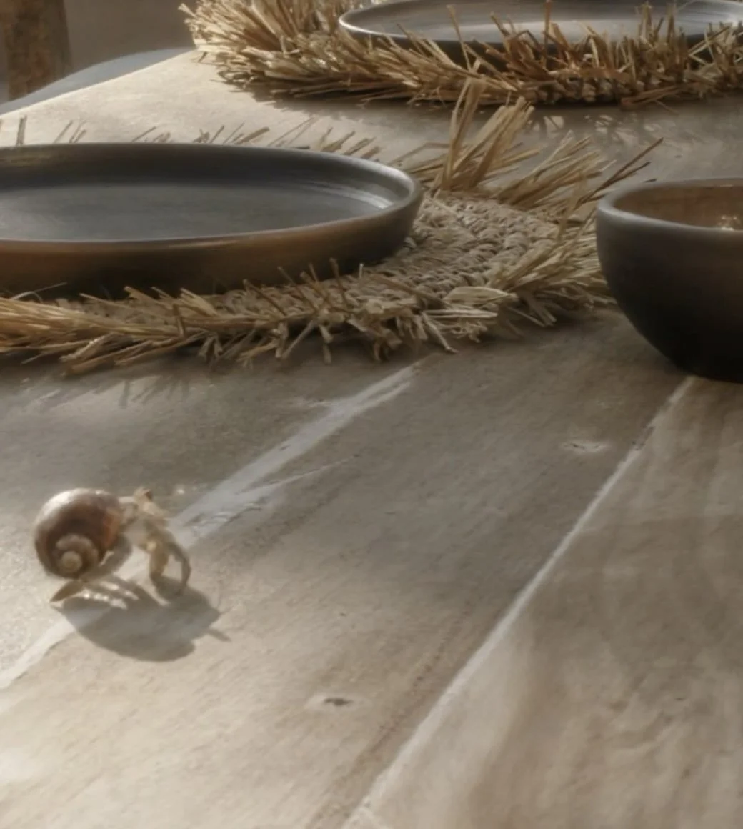 ‎Clientes Aurum Advisory- Xala, Costalegre, Jalisco, México .‎010.jpeg