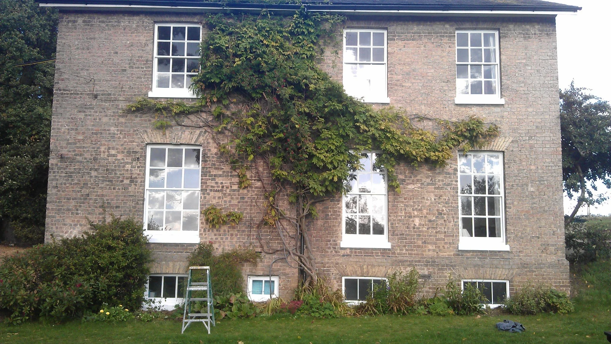 IMAG0359.jpg