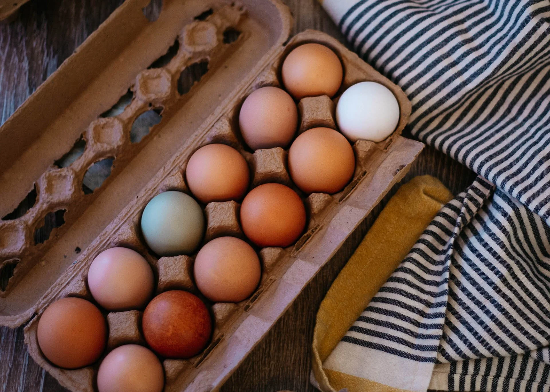 Caged vs Pastured Eggs Difference.jpg