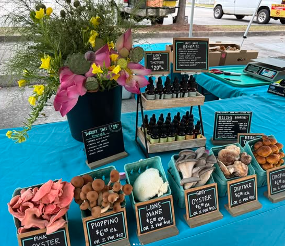 Screenshot 2025-12-07 at 10.11.32 AM.png