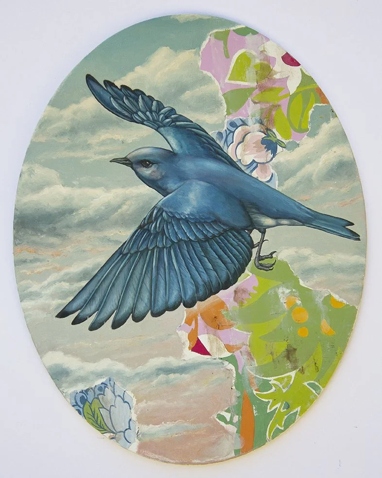 Wings of Wonder 3 (free shipping)