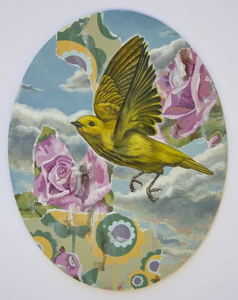 Wings of Wonder 4 (free shipping)