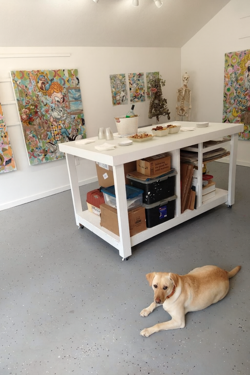 Art gallery with colorful paintings on white walls, a white table with food and disposable cups, a dog lying on a speckled gray floor, and artificial human skeleton and torso models in the background.