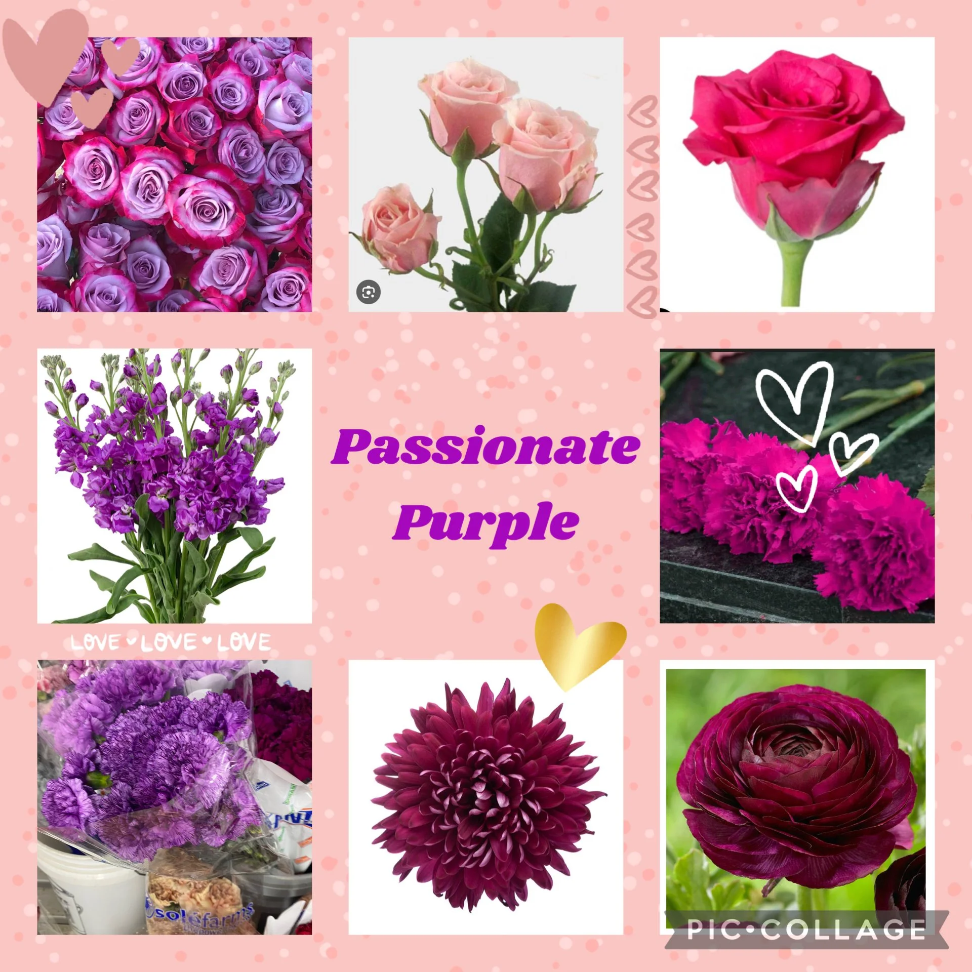 Passionately Purples Medium