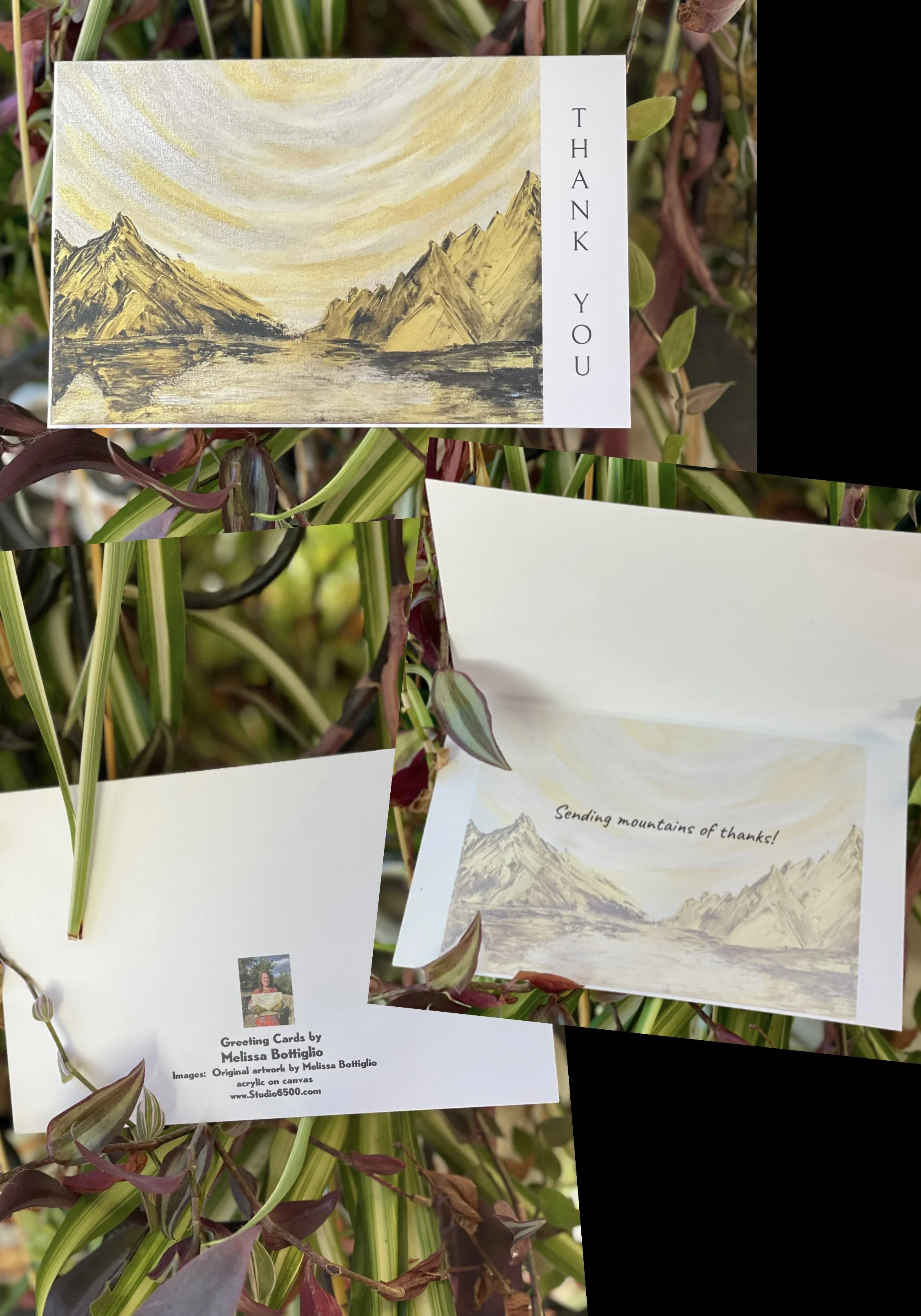 6 Thank You Cards (4.6