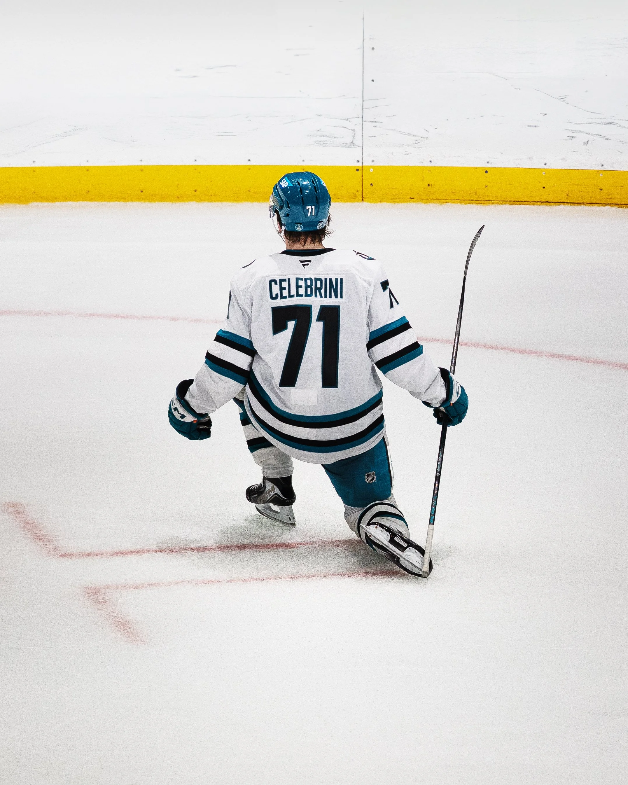 sj_sharks_san_jose_hockey_derek_bahn_16.jpg