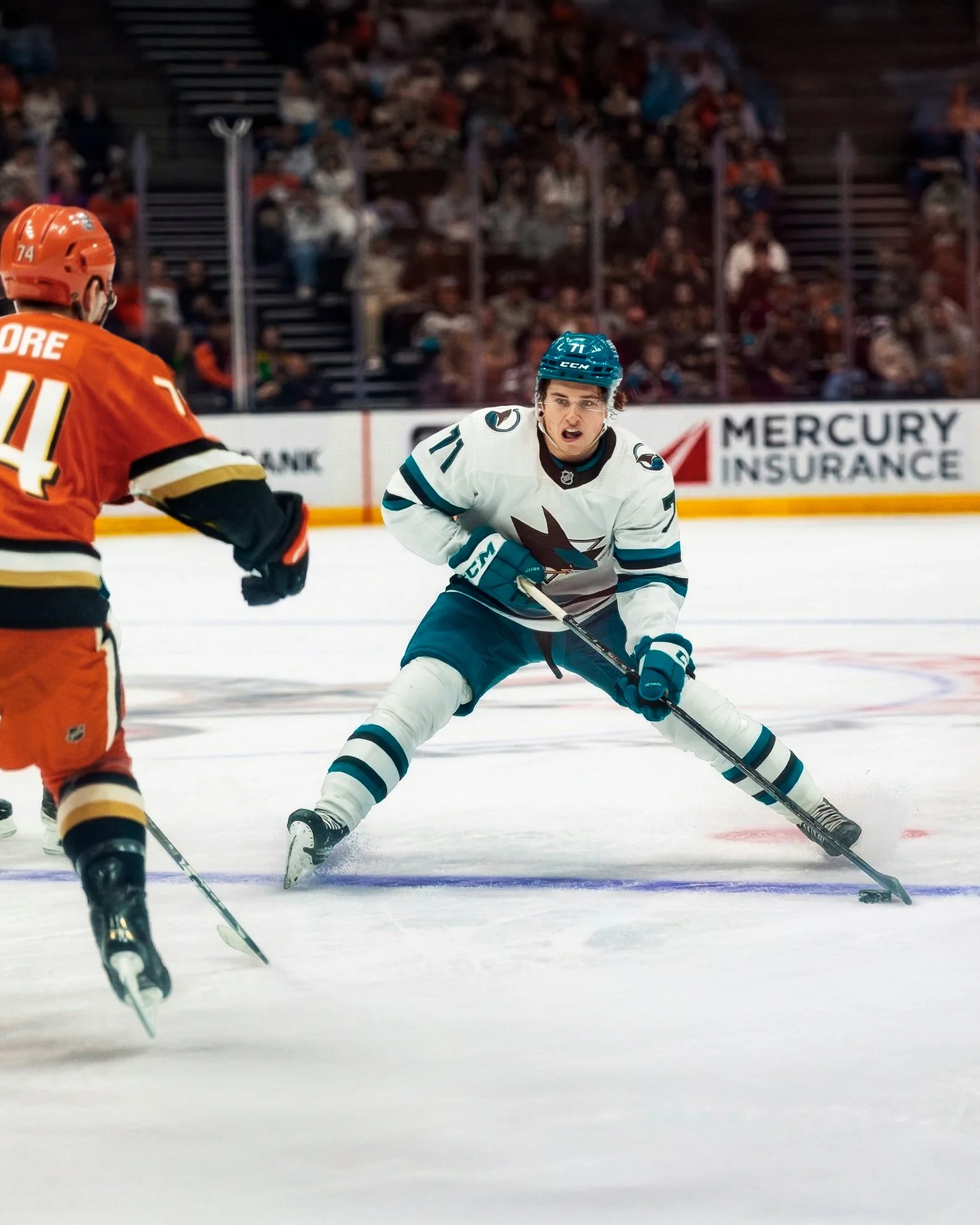 sj_sharks_san_jose_hockey_derek_bahn_20.jpg