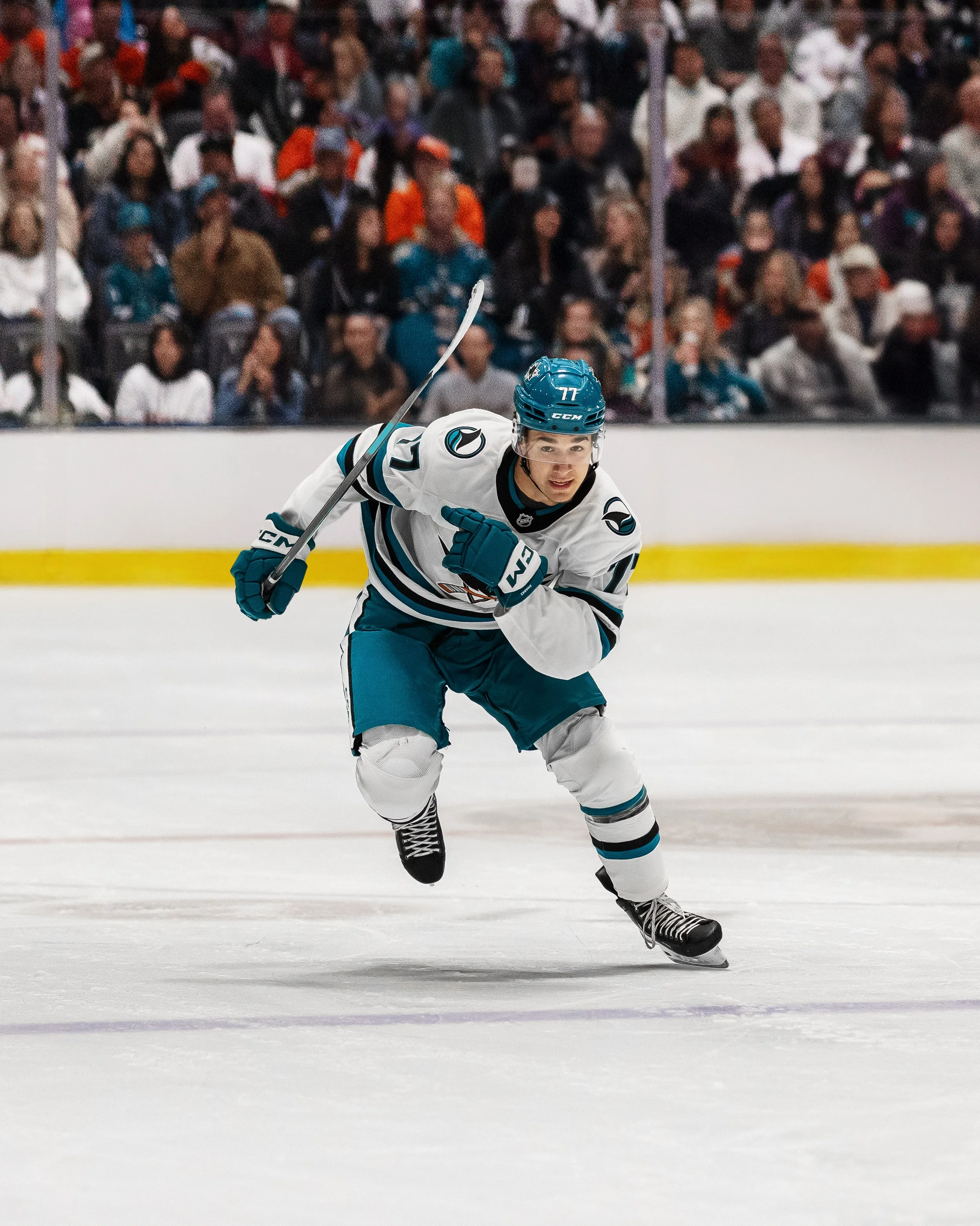 sj_sharks_san_jose_hockey_derek_bahn_14.jpg