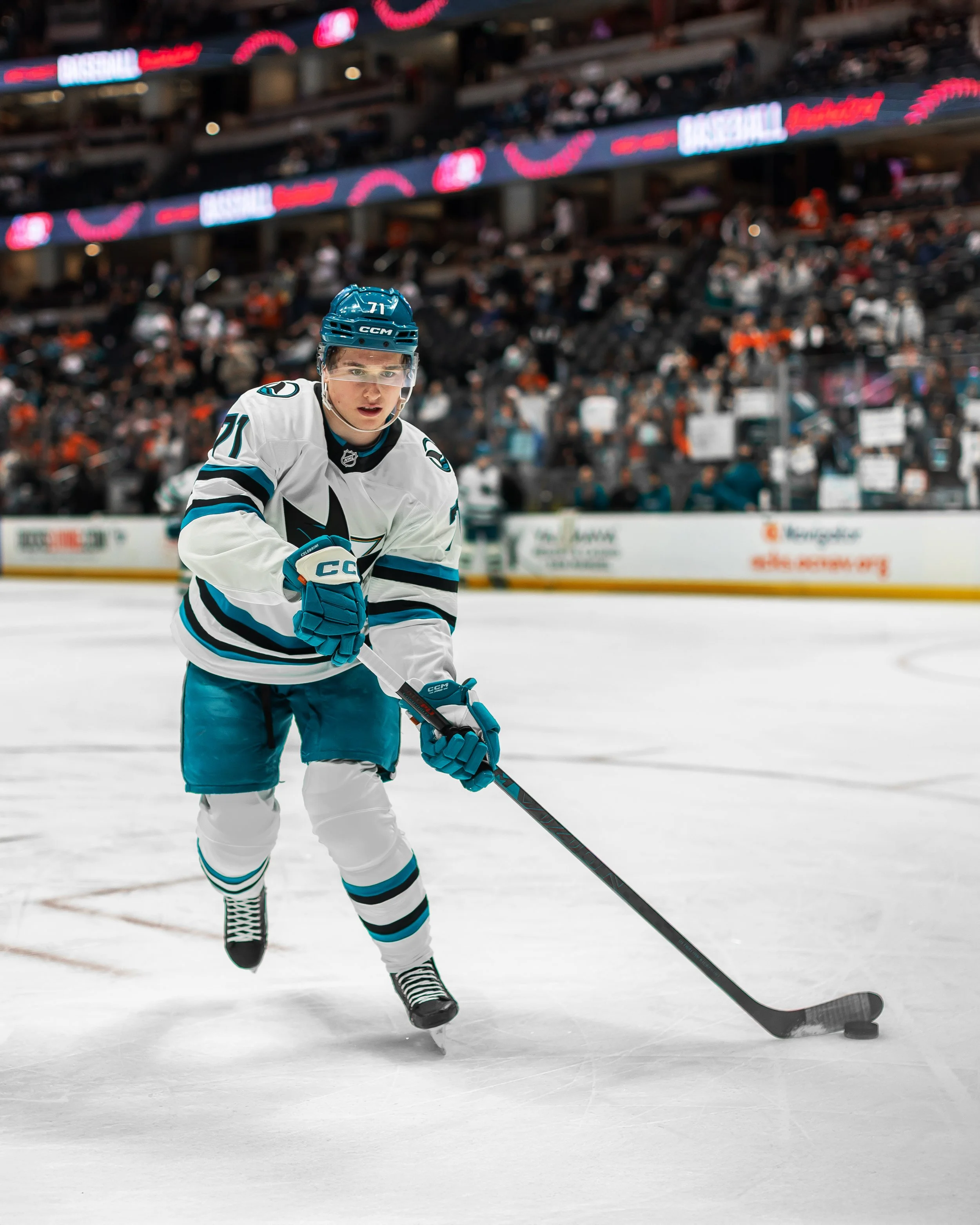 sj_sharks_san_jose_hockey_derek_bahn_27.jpg
